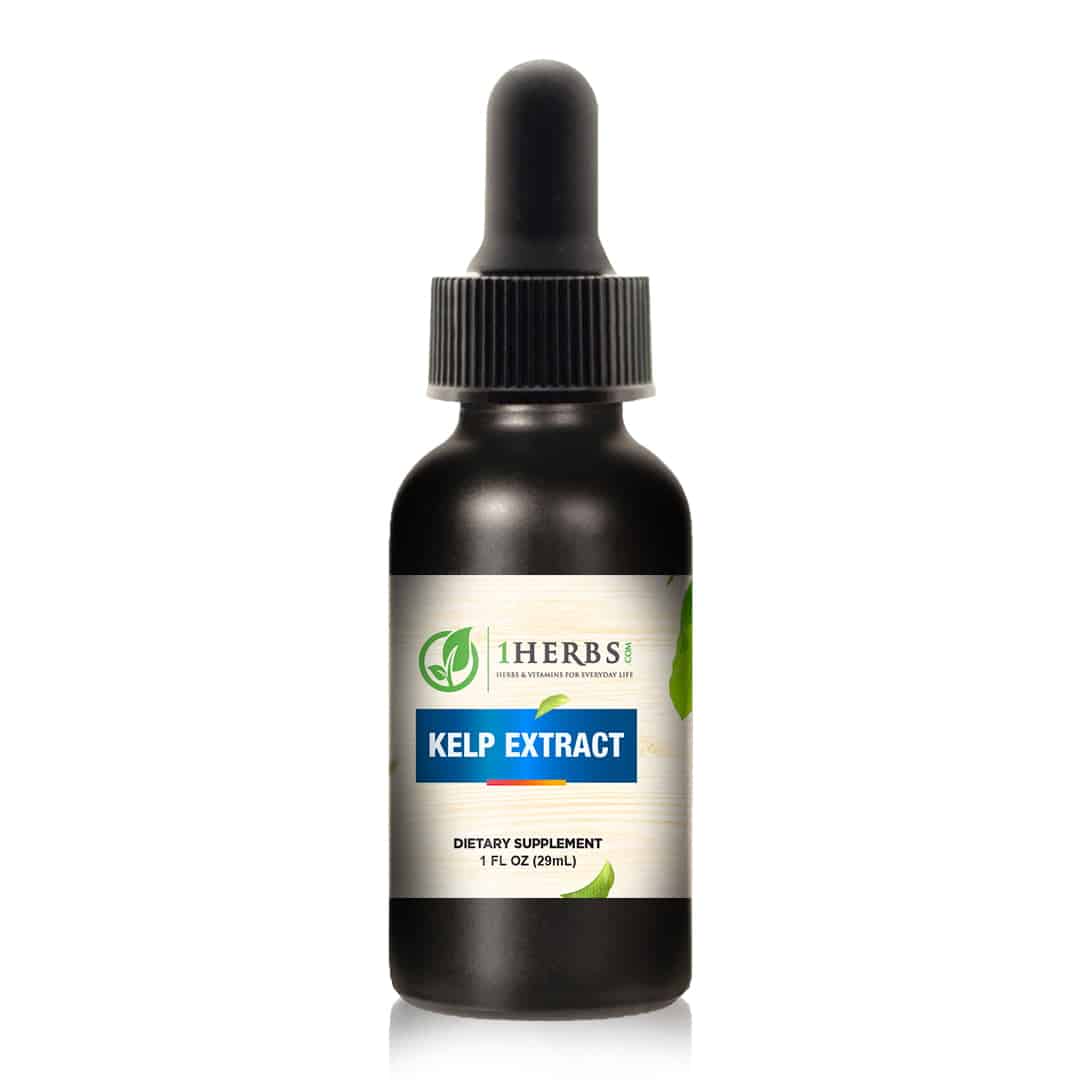 1Herbs Liquid Kelp Extract – Alcohol-Free Thyroid & Iodine Support
