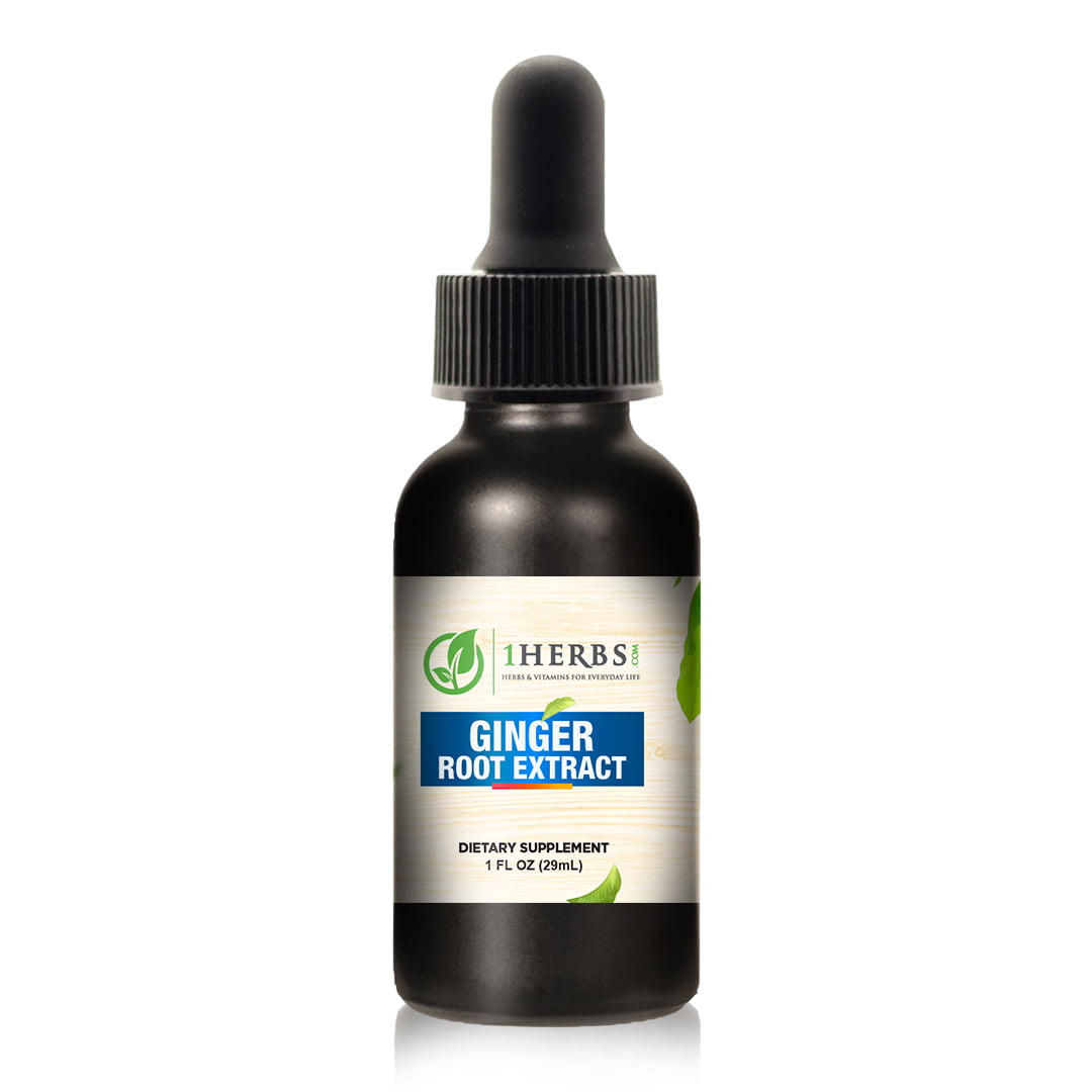 1Herbs Liquid Ginger Root Extract – Alcohol-Free Digestive & Circulation Support