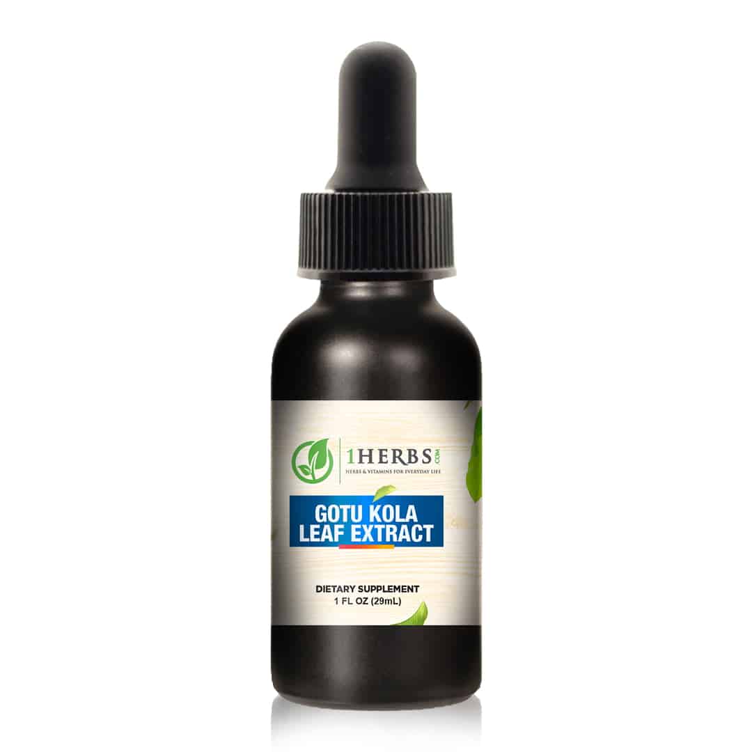 1Herbs Liquid Gotu Kola Extract – Alcohol-Free Brain, Circulation & Skin Support