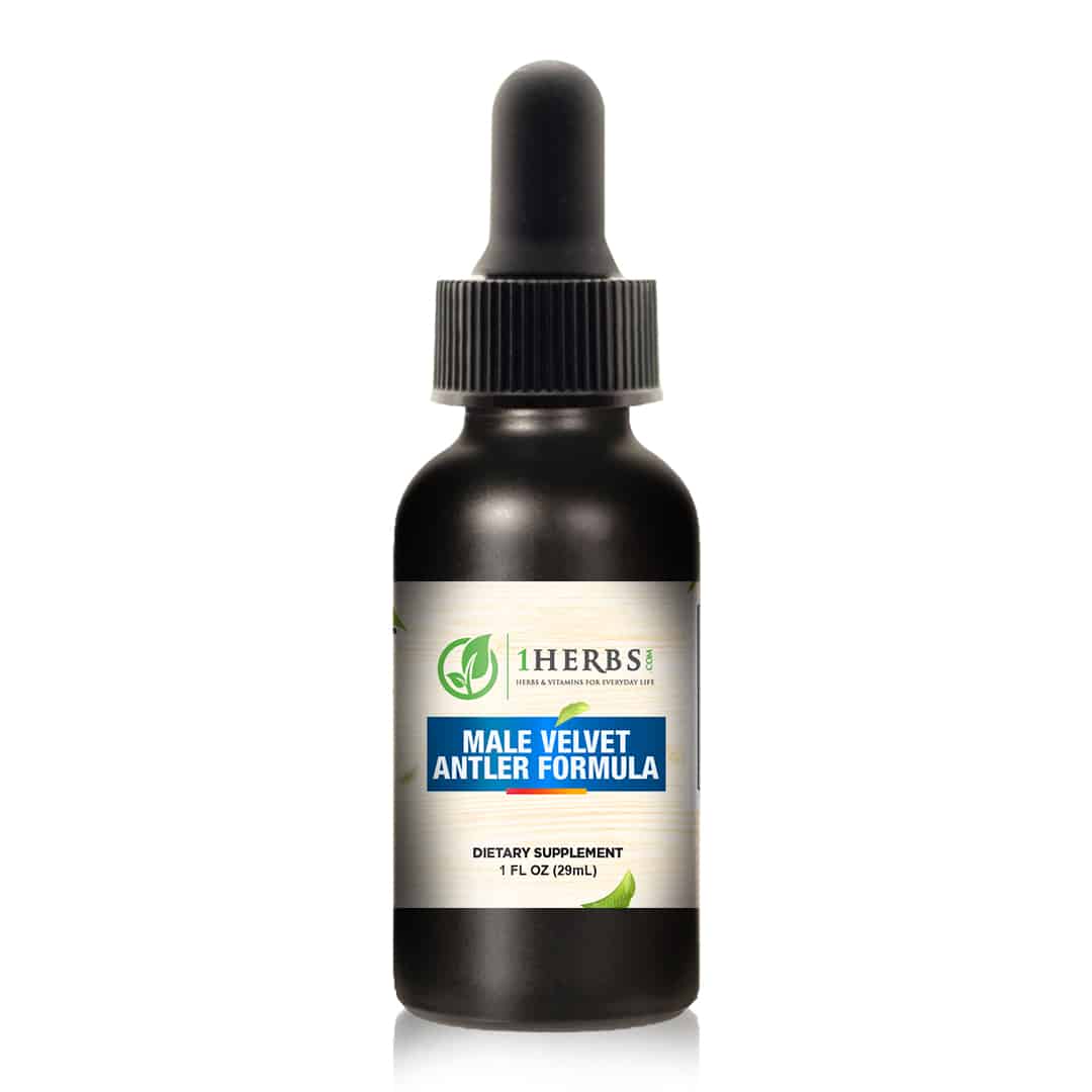 1Herbs Velvet Antler Male Liquid Formula – Men's Vitality, Energy & Testosterone Support