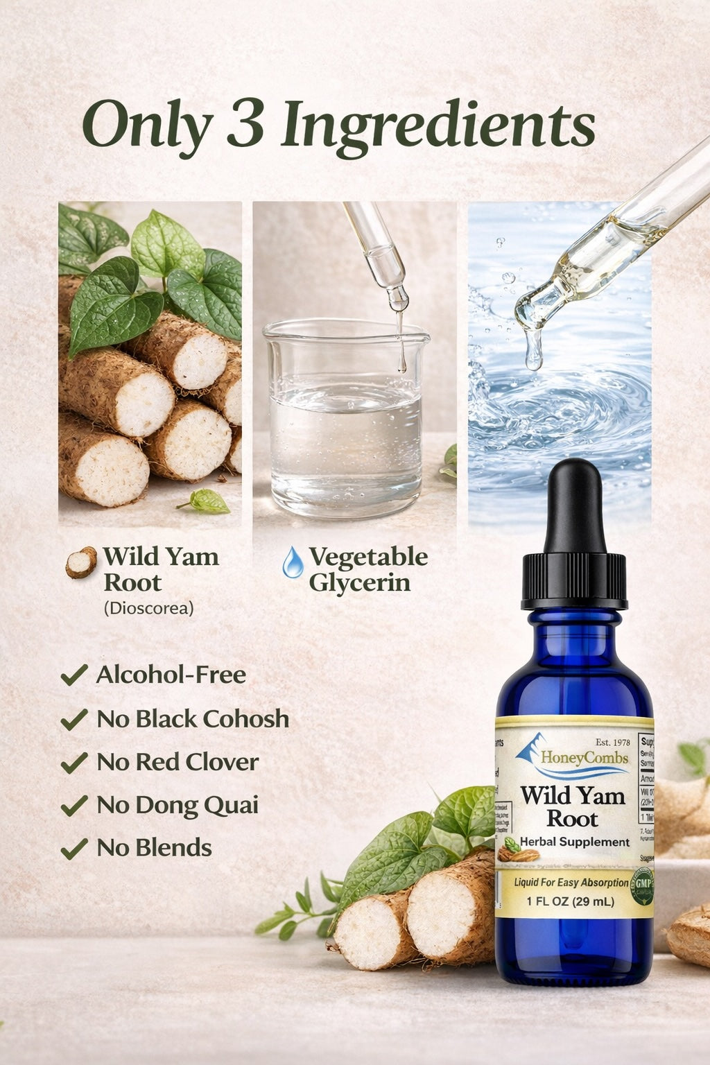 Wild Yam Root liquid extract benefits infographic – hormonal balance & digestive support — 1Herbs
